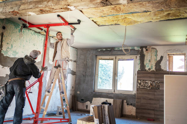Best Commercial Insulation in Boise City, OK
